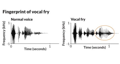Apr 18, 2020 · The vocal fry register, (also known as pulse register and glottal fry/rattle/scrape, amongst other names), is the lowest vocal register that can be produced by a human voice. In contemporary styles of singing, 'vocal fry' may also refer to a voice quality that may be added to any part of the singer's range for vocal effect. 